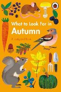 Enlarge image Cover: What to Look For in Autumn - Ladybird