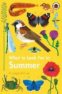 Enlarge image Cover: What to Look For in Summer - Ladybird