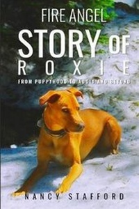 Enlarge image Cover: Fire Angel Story of Roxie - Book Writing Inc