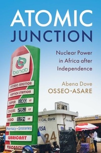 Abbildung von: Atomic Junction - Cambridge University Press