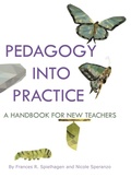 Cover: Pedagogy into Practice - Information Age Publishing