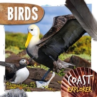Abbildung von: Birds - BookLife Publishing