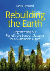 Abbildung von: Rebuilding the Earth - Palgrave Macmillan