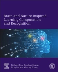 Enlarge image Cover: Brain and Nature-Inspired Learning, Computation and Recognition - Elsevier