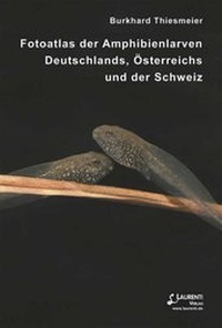Abbildung von: Fotoatlas der Amphibienlarven Deutschlands, Österreichs und der Schweiz - Laurenti