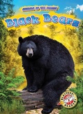 Cover: Black Bears - Bellwether Media