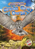 Cover: Great Gray Owls - Bellwether Media
