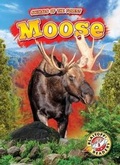 Cover: Moose - Bellwether Media