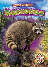 Enlarge image Cover: Raccoons - Bellwether Media