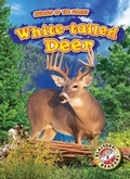 Cover: White-tailed Deer - Bellwether Media