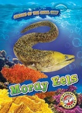 Cover: Moray Eels - Bellwether Media