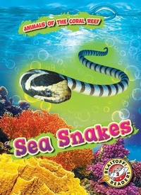 Enlarge image Cover: Sea Snakes - Bellwether Media