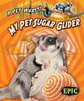 Cover: My Pet Sugar Glider - Bellwether Media