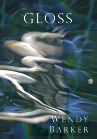 Enlarge image Cover: Gloss - Saint Julian Press, Inc.