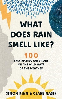 Abbildung von: What Does Rain Smell Like? - BLINK Publishing