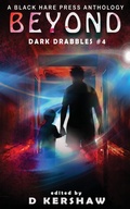 Cover: Beyond - Blackharepress