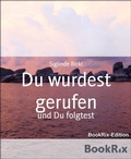 Cover: Du wurdest gerufen - BookRix