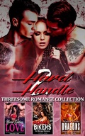 Cover: 2 Hard 2 Handle : Threesome Romance Collection - Naughty Books Publishing