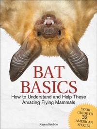 Enlarge image Cover: Bat Basics - Adventure Publications