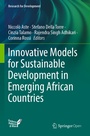 Cover: Innovative Models for Sustainable Development in Emerging African Countries - Springer