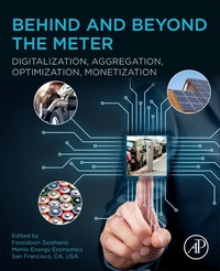 Enlarge image Cover: Behind and Beyond the Meter - Academic Press