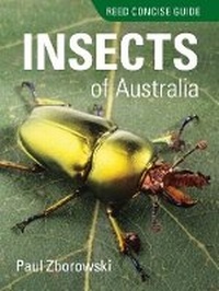 Enlarge image Cover: Reed Concise Guide to Insects of Australia - Reed New Holland
