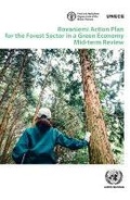 Cover: Rovaniemi Action Plan for the Forest Sector in a Green Economy: Mid-Term Review - United Nations