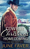 Cover: Cowboy Christmas Homecoming - Sourcebooks Casablanca