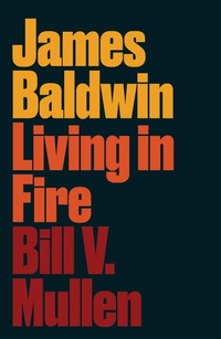 Abbildung von: James Baldwin - Pluto Press