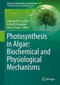 Abbildung von: Photosynthesis in Algae: Biochemical and Physiological Mechanisms - Springer