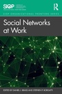 Cover: Social Networks at Work - Routledge