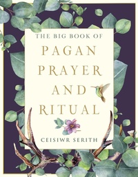 Enlarge image Cover: The Big Book of Pagan Prayer and Ritual - Weiser Books