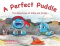 Cover: A Perfect Puddle - Brown Books Publishing Group