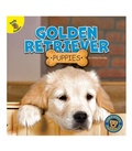Cover: Golden Retriever Puppies - Ready Readers