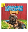 Cover: Labrador Retriever Puppies - Ready Readers