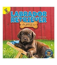 Enlarge image Cover: Labrador Retriever Puppies - Ready Readers