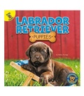Cover: Labrador Retriever Puppies - Ready Readers