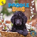 Cover: Poodle Puppies - Ready Readers