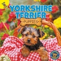 Cover: Yorkshire Terrier Puppies - Ready Readers