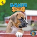 Cover: Boxer Puppies - Ready Readers