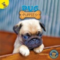 Cover: Pug Puppies - Ready Readers