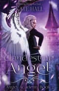 Cover: Clandestine Angel - Lost Window LLC