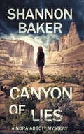 Cover: Canyon of Lies - Severn River Publishing