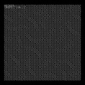 Cover: Inspection II - Urbanomic Media Ltd