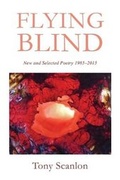 Cover: Flying Blind - Moshpit Publishing