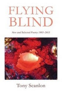 Enlarge image Cover: Flying Blind - Moshpit Publishing