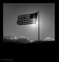 Cover: Robert Mapplethorpe - Phaidon Press Ltd