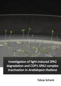 Cover: Investigation of light-induced SPA2 degradation and COP1-SPA inactivation in Arabidopsis thaliana - Dr. Hut