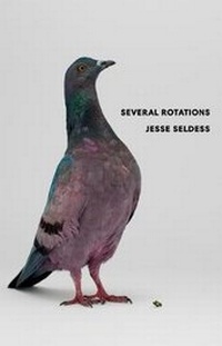 Enlarge image Cover: Several Rotations - Kenning Editions