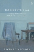 Abbildung von: Irresolute Clay - Hart Publishing